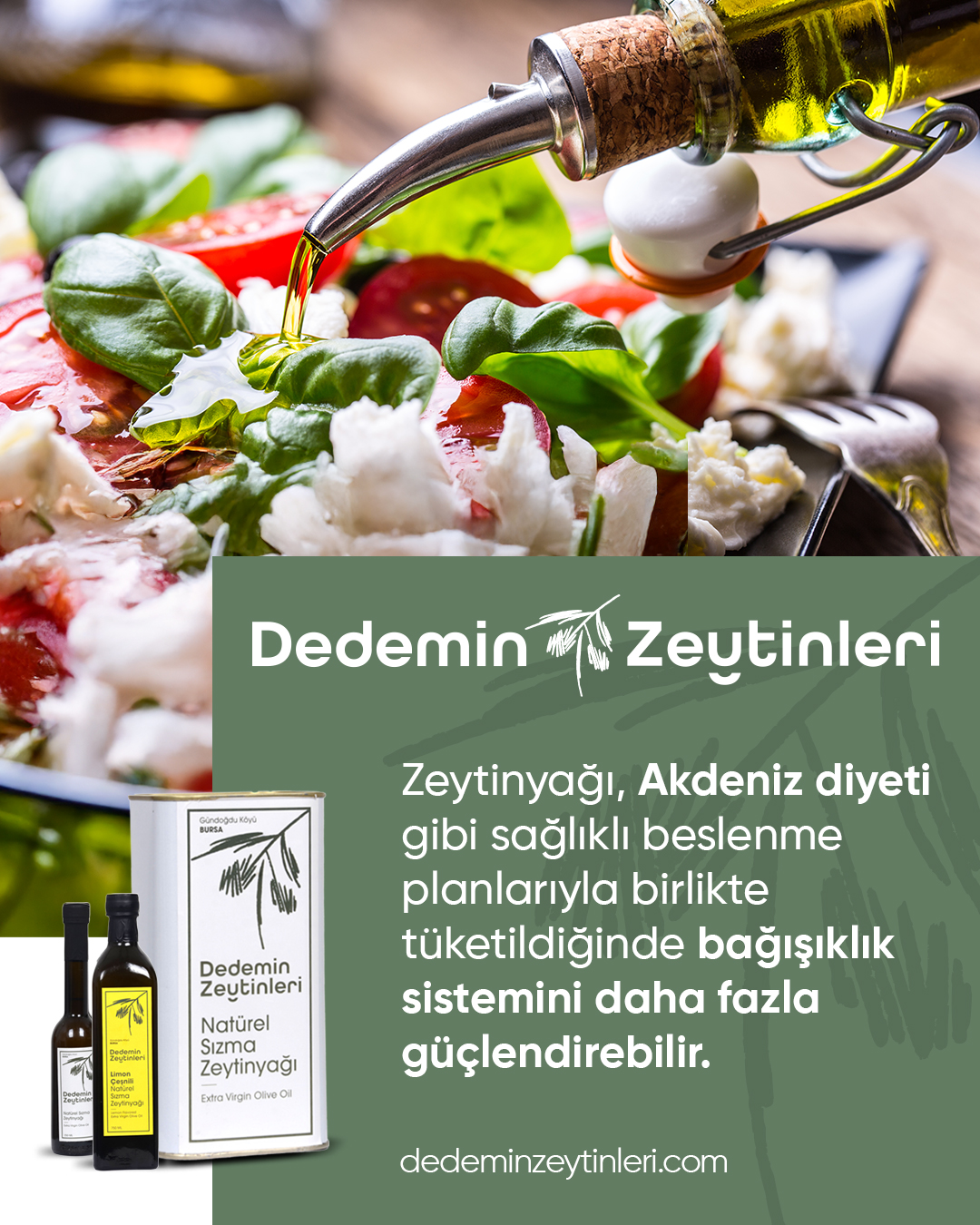 561178434_122161675280760590_6310133210124062684_n